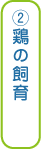 ②鶏の飼育