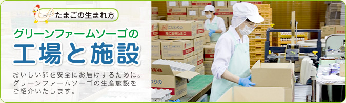 たまごの生まれ方 グリーンファームソーゴの 工場と施設 おいしい卵を安全にお届けするために。グリーンファームソーゴの生産施設をご紹介いたします。