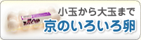 小玉から大玉まで京のいろいろ卵