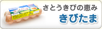 さとうきびの恵みきびたま
