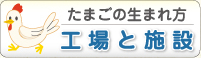 たまごの生まれ方 工場と施設